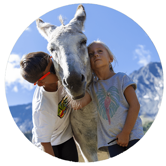 Tourisme enfants avec un âne à la ferme